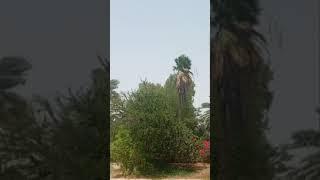 ITS TOOO HOT OUTSIDE | DENNIS SALVANA