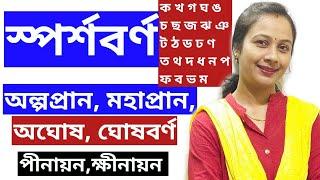 অল্পপ্রান,মহাপ্রান বর্ণ।অঘোষ ও ঘোষ বর্ণ।পীনায়ন ও ক্ষীনায়ন। স্পর্শবর্ণগুলির বর্গ ও উচ্চারণ স্থান।