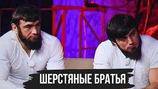ГЛАВНАЯ ШЕРСТЬ ММА БРАТЬЯ ВАГАБОВЫ