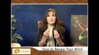 Dr. Leaf | How to Renew Your Mind