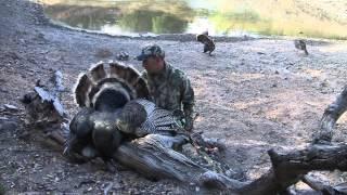 Mike's Archery Mexico Gould's Turkey Hunt with Jay Scott