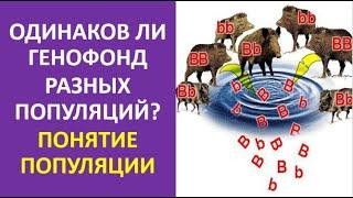 32. Одинаков ли генофонд разных популяций? Понятие популяции