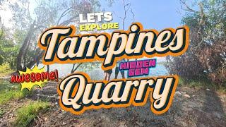 Join Us on Our Longer Walk: Discovering the East's Hidden Gem, Tampines Quarry! 