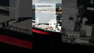 Merchant Navy | Direct Officer Entry | Deck Side Course #shorts #marine #course #dns #bsc #viral #yt