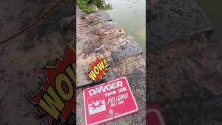 How Treasure Hunters Read Spanish  #magnetfishing #treasurehunt #magnetfishingfinds