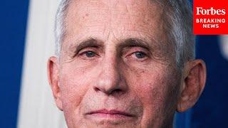Fauci Asked Point Blank About Likely Impending GOP Oversight Hearings