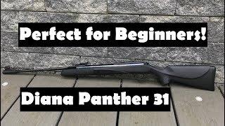 #Diana Panther 31 Einsteiger #Luftgewehr Review und Schusstest