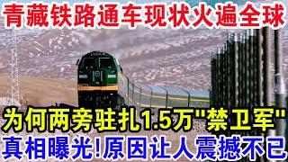 青藏铁路通车现状火遍全球，为何两旁驻扎1.5万“禁卫军”，真相曝光！原因让人震撼不已