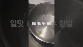 #협찬 일맛 리얼 육수 한알 요린이도 손에 묻지 않고 쉽고 빠르게 찌개 국물요리 만들 수 있어서 너무 좋아요