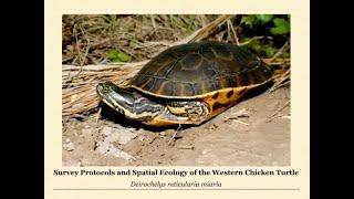Wildlife Diversity Webinar | Activity and Habitats of the Western Chicken Turtle in Texas