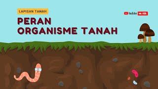 PERAN ORGANISME TANAH | TANAH DAN KEBELANGSUNGAN KEHIDUPAN