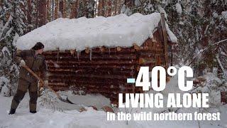 SURVIVE THE WINTER IN A SMALL COZY LOG CABIN.Documentary.