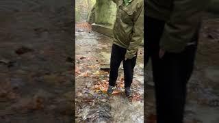 Judy Woods stream and bridge