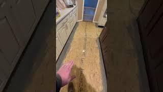 Yes We Self Leveled THAT! #construction #building