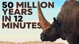 Rhino Evolution | 50 Million Years Old Animal