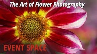 The Art of Flower Photography