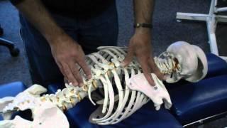 Rotation & Lateral Bending of Thoracic Spine - Prone Position