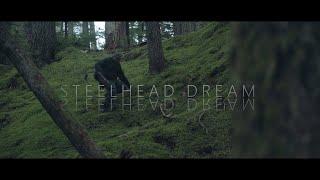 Steelhead Dream / a flyfishing short film