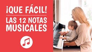 Las 12 NOTAS MUSICALES Explicadas [¡Así de Simple!]