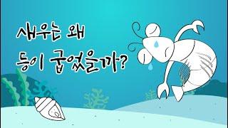 [팥쥐아재의 동화이야기] 새우는 왜 등이 굽었을까｜소근버전｜잠 잘 때 듣는 동화