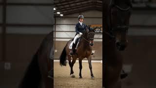 #DreamScreenAI#dressage#equestrian#horse#pony#funny#reletable#humor#viral#tiktok#trend#bella#