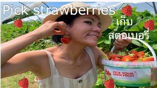 Pick strawberries !! New normal life !! ไปเก็บ สตอเบอรี่ !!ต้องอยู่ให้ ได้ ในอังกฤษ!!