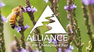 Alliance for the Chesapeake Bay: 2022 Program Video