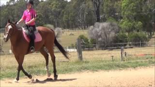 Alexandra Harrison's Horse Riding Demo