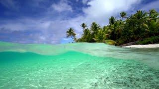 "Tropical Weightlessness" 1 HR Nature Video + Calming Acoustic Guitar Music for Relaxation - Tahiti