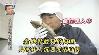 「世界上最臭的臭魚」VS「地表最強除臭器」，誰能勝出？