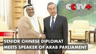 Senior Chinese Diplomat Meets Speaker of Arab Parliament