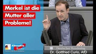 Merkel ist die  Mutter aller Probleme! - Gottfried Curio - AfD-Fraktion im Bundestag