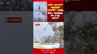 Thoothukudi Bird | Struggle | free