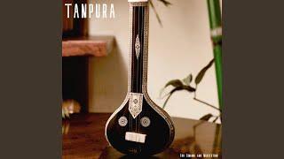 Tanpura - C Scale