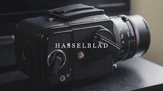 Hasselblad 501c (First Impressions)