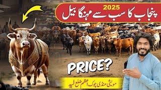 Qurbani Ke Janwar || Qurbani 2025 Vlog