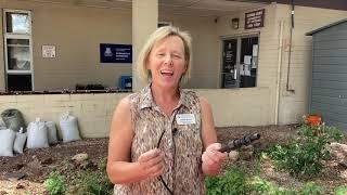 Drip Irrigation
