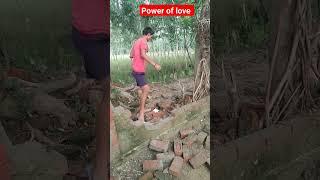 power of love ~#funnyvideo #youtubesearch #trending #viral #viralshort #comedy #trendingshorts