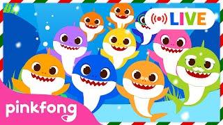 [ LIVE] TOP Baby Shark Dance Songs | Winter Baby Shark | Doo Doo Doo | Pinkfong Live