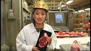 美国牛肉-从内布拉斯加农场到中国市场