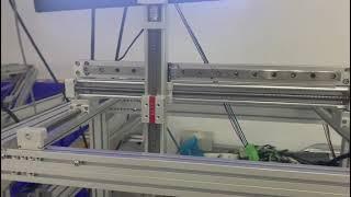 Linear Gantry System XYZ Stage Multi-axis Cartesian Robot