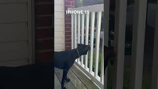iPhone 15 Pro Max Action Mode VS Galaxy S24 Ultra Super Steady! (1080p 60fps)