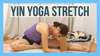 1 Hour Yin Yoga for Flexibility - Hips & Spine Yoga Deep Stretch