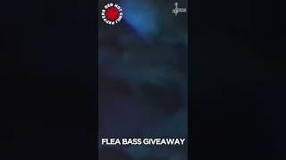 Flea's Bass giveaway By RHCP @ChamisBass  #chamisbass #basstabs #flea #rhcp #bass #shorts