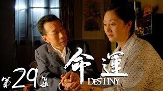 《命運》第29集  Destiny EP29【天下衛視官方頻道 Sky Link TV】