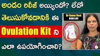 How to use Ovulation Kit for getting pregnancy naturally | Telugu | Dr Rama Devi Health Education