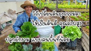 วิธีเปลี่ยนดินถุงธรรมดา ให้เป็นดินดีมีคุณภาพสูง ปลูกผักงามได้ แบบคนพื้นที่น้อย