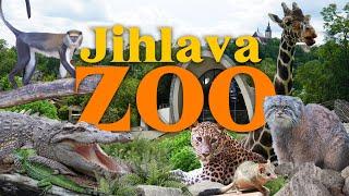 Jihlava Zoo - the "Zoo of Five Continents" | Zoo Review