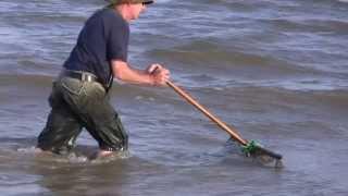 A days shrimping on the Suffolk coast