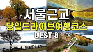 서울근교 드라이브 공원 카페 여행 best 8/ 물의정원 수종사 다산생태공원 하우스베이커리 황순원문학촌 문호리 테라로사 두물머리